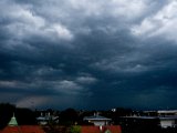 IMG_7952.jpg