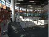 IMG_7990.CR2