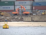 IMG_8304.CR2