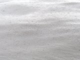 IMG_8382.CR2