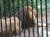IMG_3124.CR2