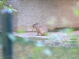 IMG_3142.CR2