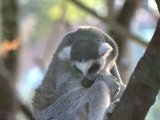 IMG_9109.CR2