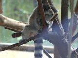 IMG_9111.CR2