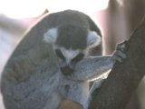 IMG_9124.CR2