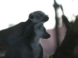 IMG_9125.CR2