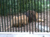 IMG_9128.CR2