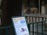 IMG_9140.CR2