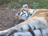 IMG_9165.CR2