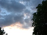 IMG_9186.CR2