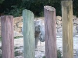 IMG_9187.CR2