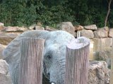 IMG_9200.CR2