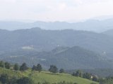 IMG_1703.CR2