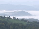IMG_1814.CR2
