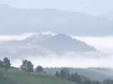 IMG_1850.CR2
