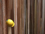 IMG_1296.CR2