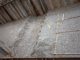 IMG_1364.CR2