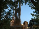 IMG_1384.CR2
