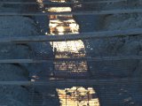 IMG_1409.CR2
