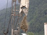 IMG_1438.CR2