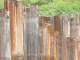 IMG_1624.CR2