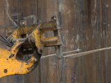 IMG_1696.CR2