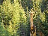IMG_3098.jpg