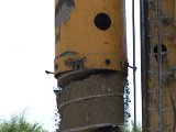 IMG_3617.CR2