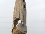 IMG_3692.CR2