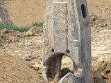IMG_3698.CR2