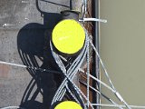 IMG_5384.CR2