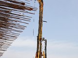 IMG_8239.jpg