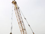 IMG_8322.jpg