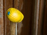 IMG_9308.jpg