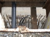 IMG_9363.CR2