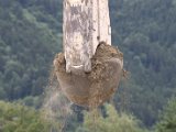 IMG_9399.CR2