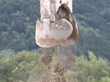 IMG_9401.CR2