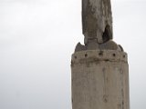IMG_9460.CR2