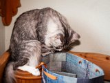 IMG_5305.jpg