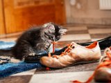 IMG_5471.jpg