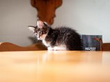 IMG_5646.jpg