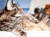 IMG_6143.jpg