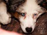 IMG_6536.jpg