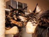 IMG_6606.jpg