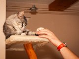 IMG_6609.jpg