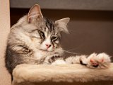 IMG_6612.jpg