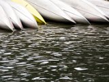 28.08.2009 14-45-53.jpg