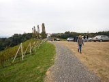 IMG_1218.jpg