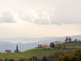 IMG_1223.jpg