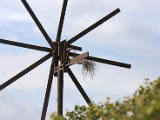 IMG_1274.CR2